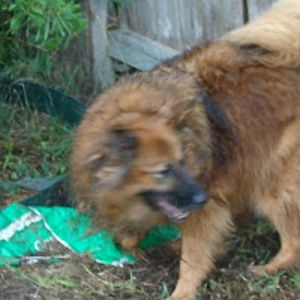 kimberlyherbert avatar