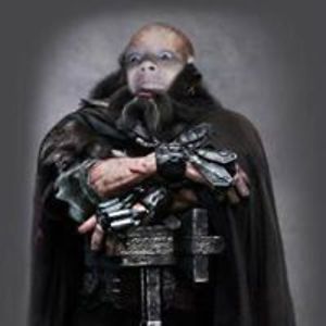 kalamariayhta avatar