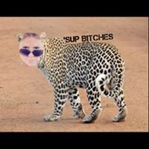 predatorpet44 avatar