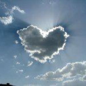 sleepless4truth avatar