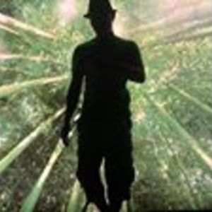 peterhoang277 avatar