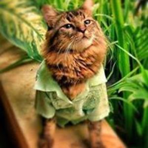 lorena_laniuk avatar