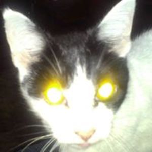 kyles_no1_girl avatar