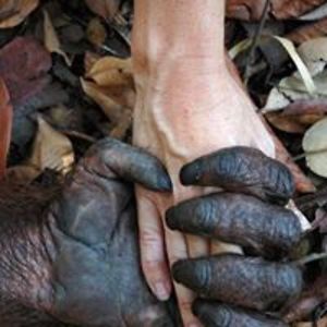 nolas_gardening avatar