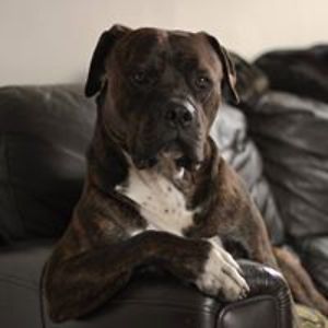 belinda_tsui1 avatar