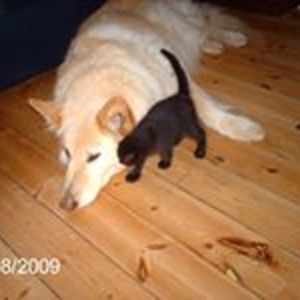 yvonnemustapha avatar