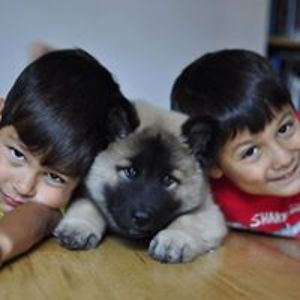 brian_toquero avatar