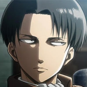 captainlevi avatar
