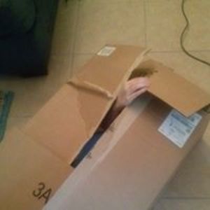 lyndseylittle3 avatar