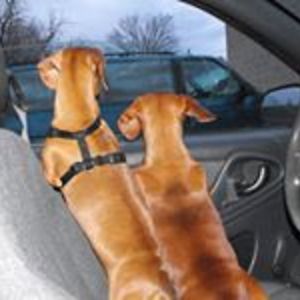 my_magic8ball avatar