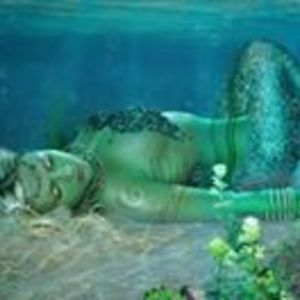 8morriganashlar8 avatar