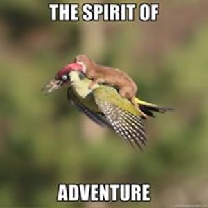 officestudios avatar