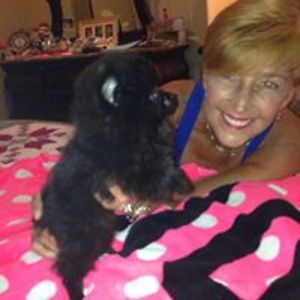 lindaswluckyme avatar