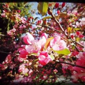 kasey_littler avatar