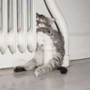 adre_claassens avatar