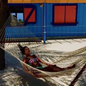 jackie_lajeunesse avatar