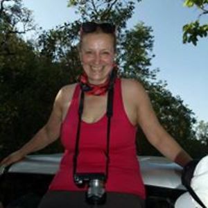 dianamccayparker avatar