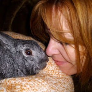 bettinamacbunny avatar