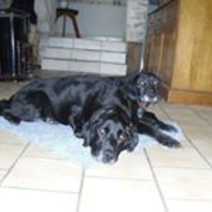 hilary_temple avatar