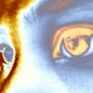 donnarosebayona avatar