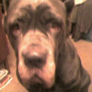 rngingvarvonbecker avatar