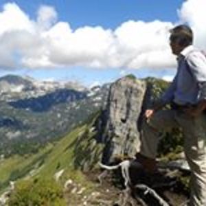 andreas_pavek avatar