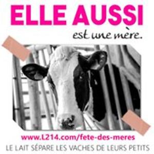 christopheblondel avatar