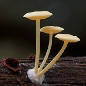 stephen_axford avatar