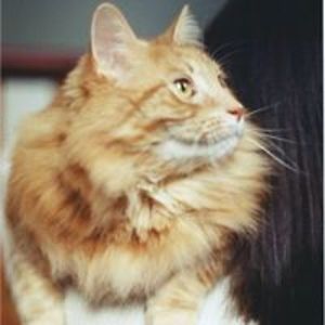 Worf_VonBaron avatar