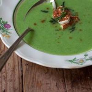 sixwingedstrings avatar