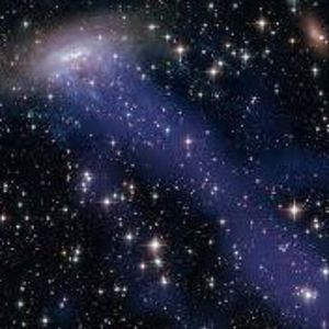 mtmonkeysmith avatar