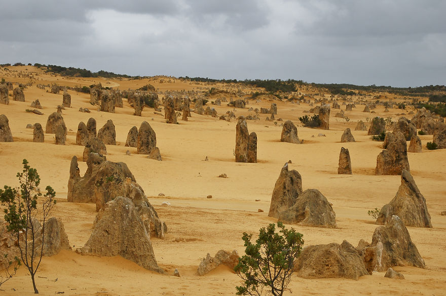 Pinnacles Desert, Western Australia