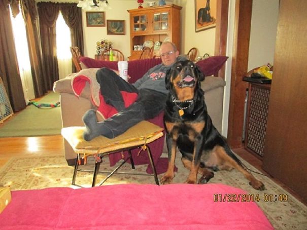 Sampson @ 160lbs. Our Baby !!