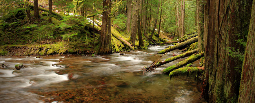 I Found Beauty Only 90 Minutes Away From My Home