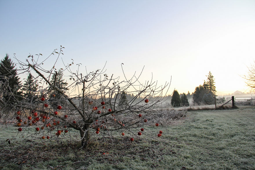 I Found Beauty Only 90 Minutes Away From My Home