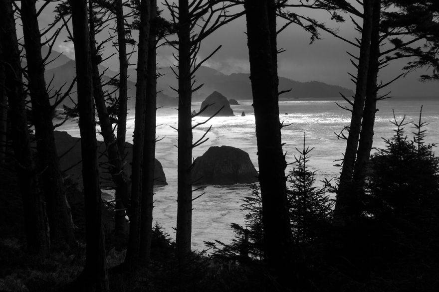 I Found Beauty Only 90 Minutes Away From My Home