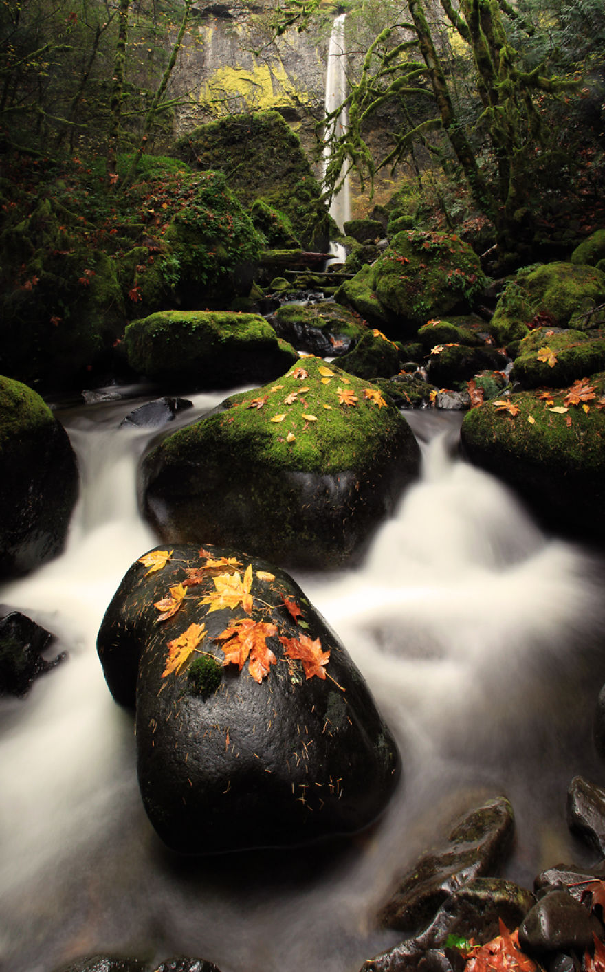 I Found Beauty Only 90 Minutes Away From My Home