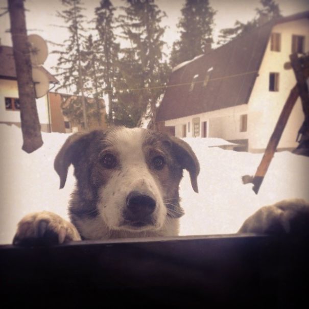 I Want To Be In Warm Place Too