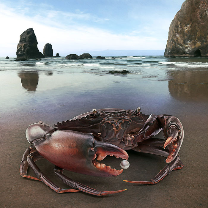 Artist Creates Beautiful Collages With Photos Of Animals