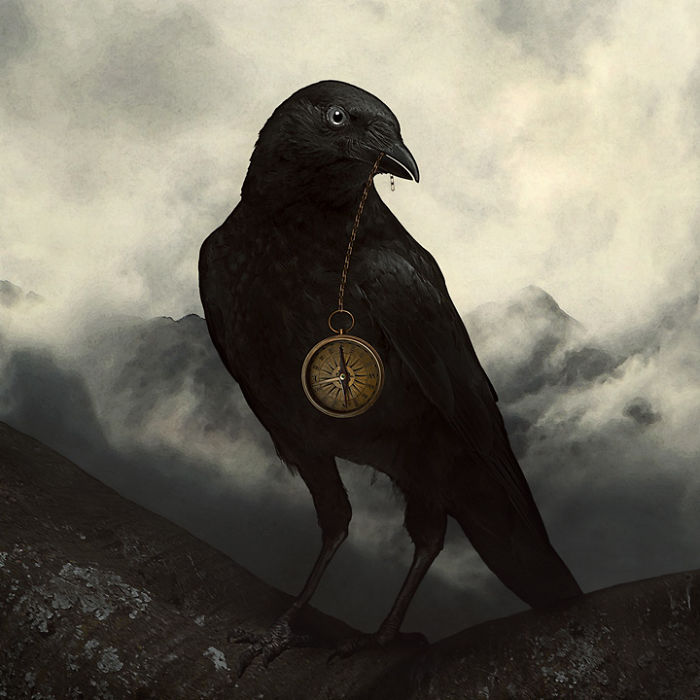 Artist Creates Beautiful Collages With Photos Of Animals