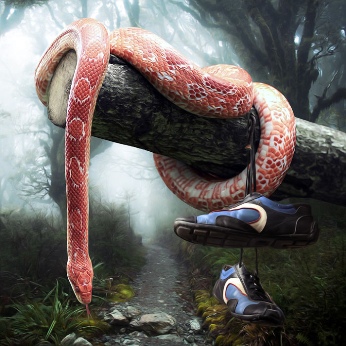 Artist Creates Beautiful Collages With Photos Of Animals Artist Creates Beautiful Collages With Photos Of Animals