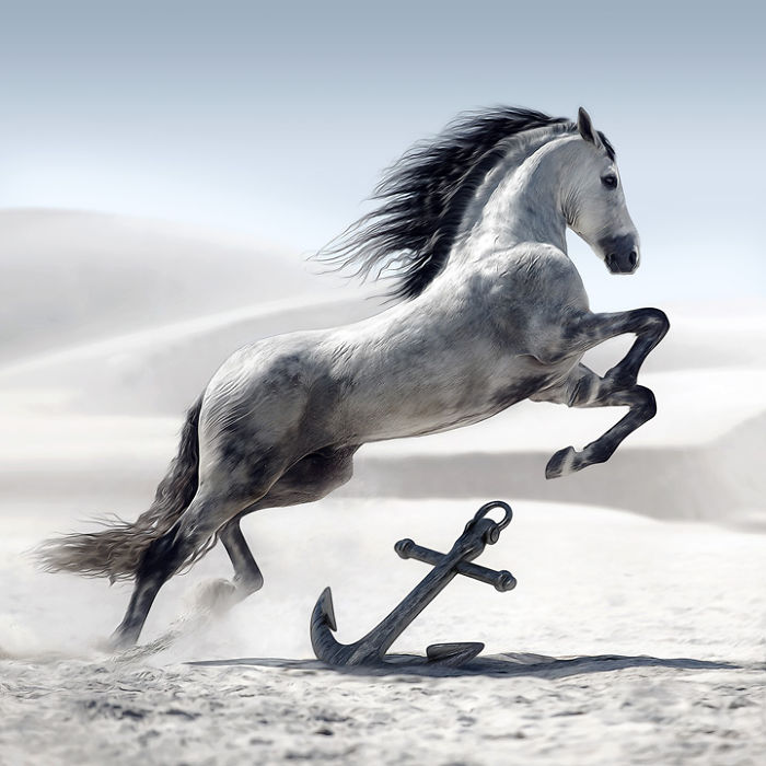 Artist Creates Beautiful Collages With Photos Of Animals Artist Creates Beautiful Collages With Photos Of Animals