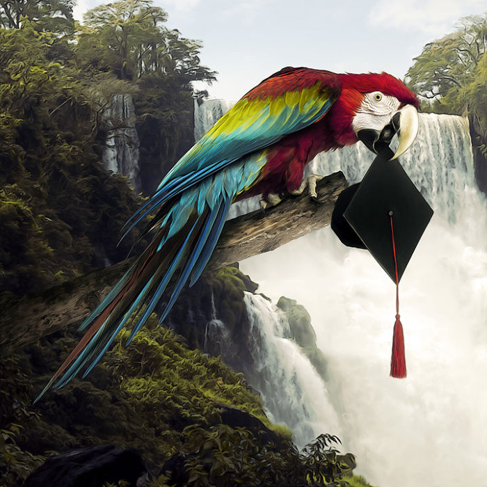 Artist Creates Beautiful Collages With Photos Of Animals