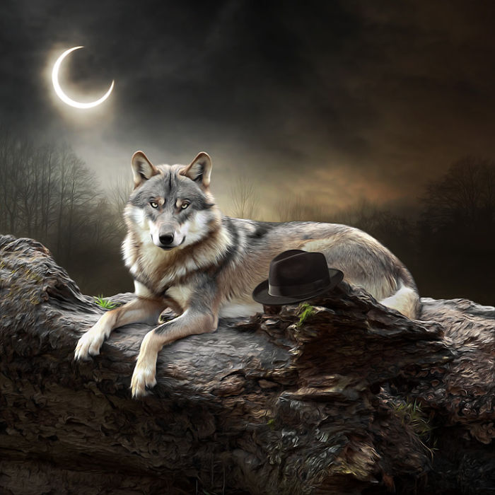 Artist Creates Beautiful Collages With Photos Of Animals