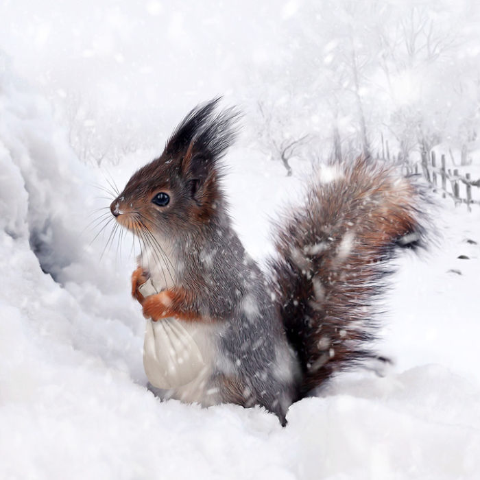 Artist Creates Beautiful Collages With Photos Of Animals Artist Creates Beautiful Collages With Photos Of Animals