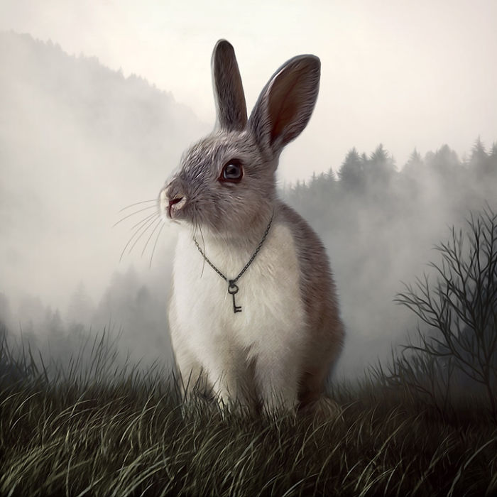 Artist Creates Beautiful Collages With Photos Of Animals