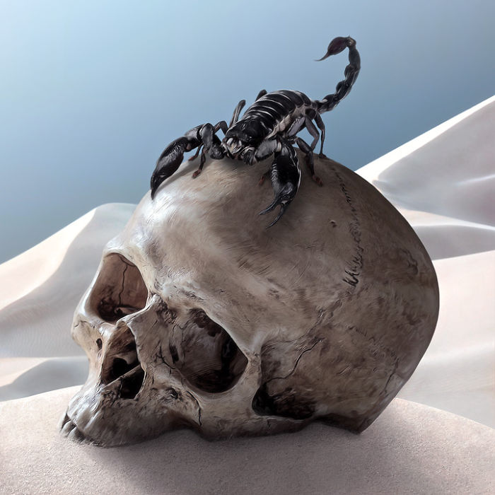 Artist Creates Beautiful Collages With Photos Of Animals Artist Creates Beautiful Collages With Photos Of Animals