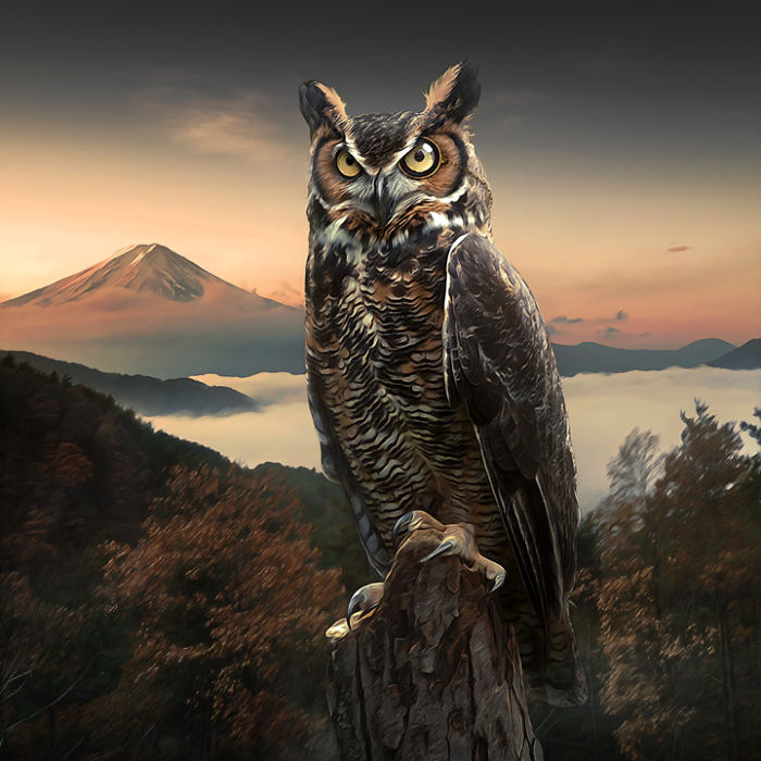 Artist Creates Beautiful Collages With Photos Of Animals