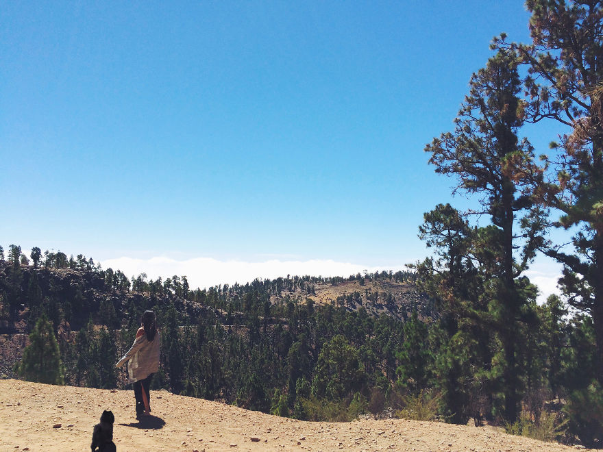 "Travel" With My Dog: I Photoshopped My Dog Into My Traveling Photos "Travel" With My Dog: I Photoshopped My Dog Into My Traveling Photos