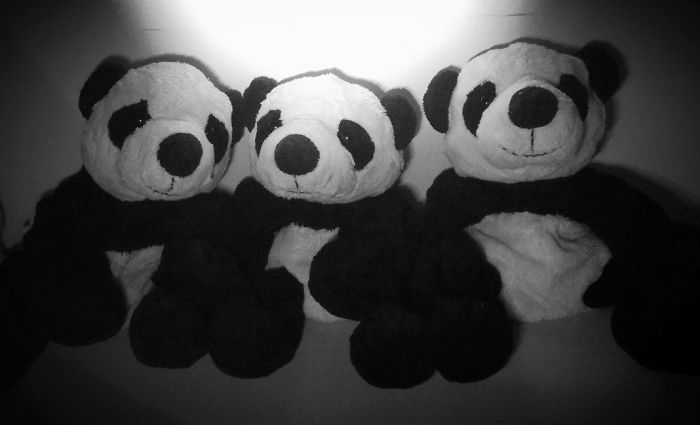 My First, Second And Third Pandabear. The Same Model, About 5 Years Apart From Each Other.